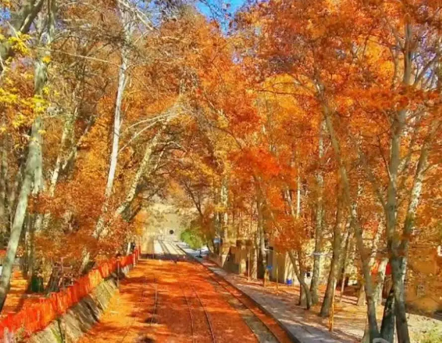 منظره خط ریلی در پاییز