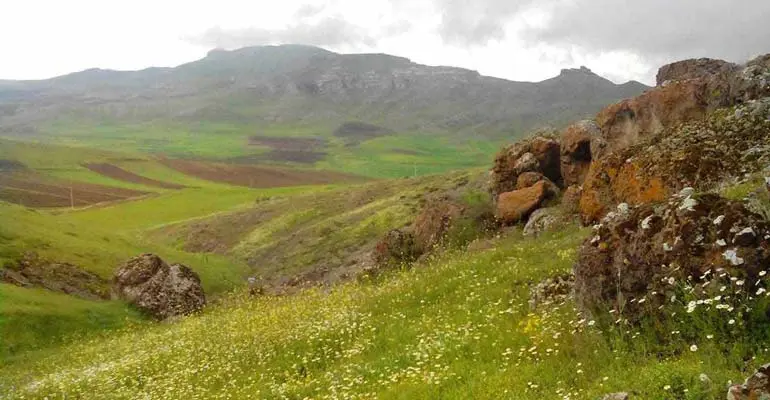 روستای زرگر