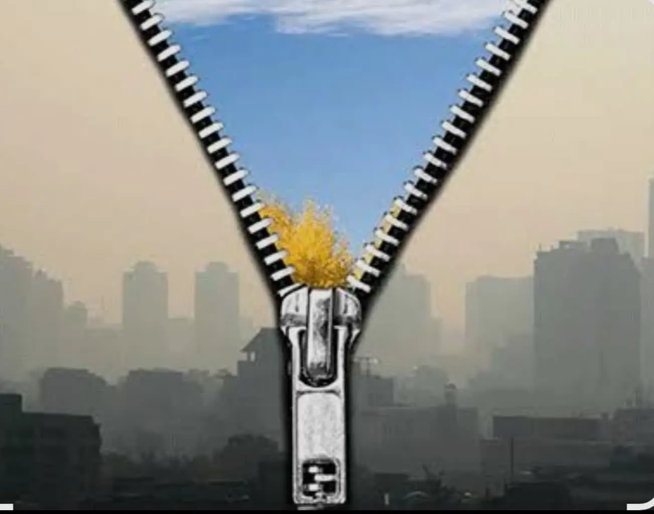 گذر از آلودگی هوا به هوای پاک