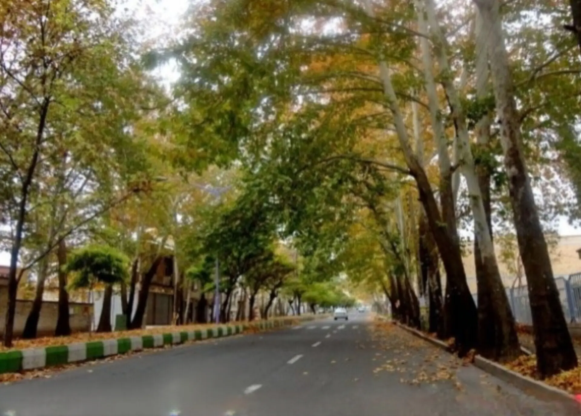 ماهان کرمان