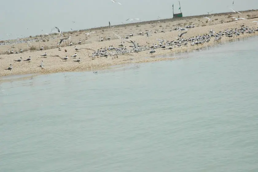 جزیره قبر ناخدا