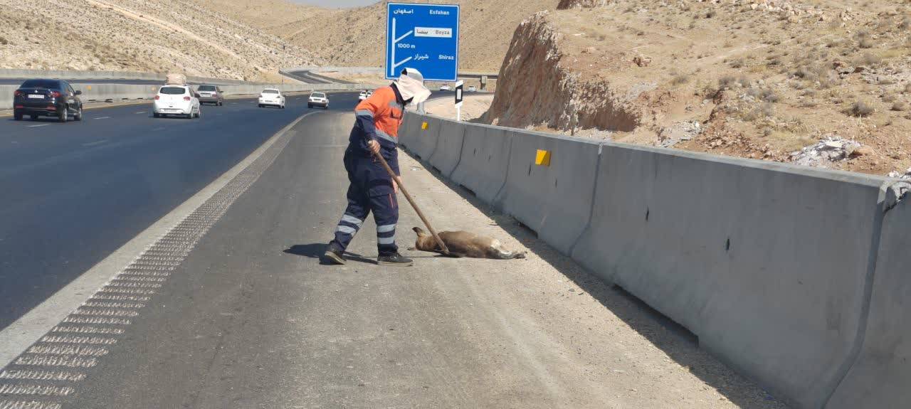 نظافت آزادراه شیراز اصفهان