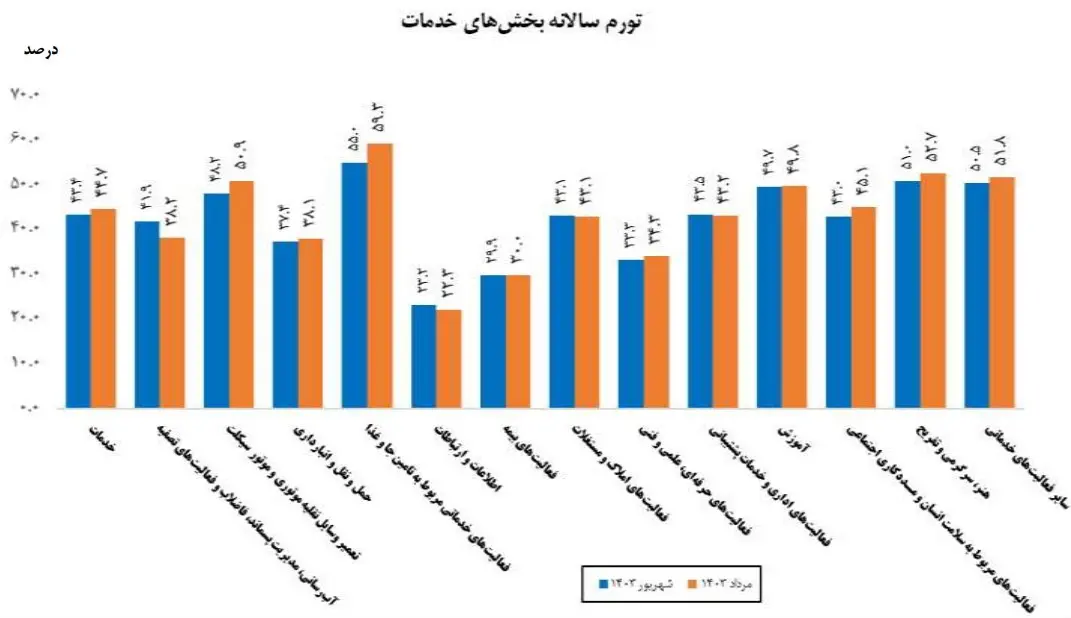 تورم خدمات حمل ونقل