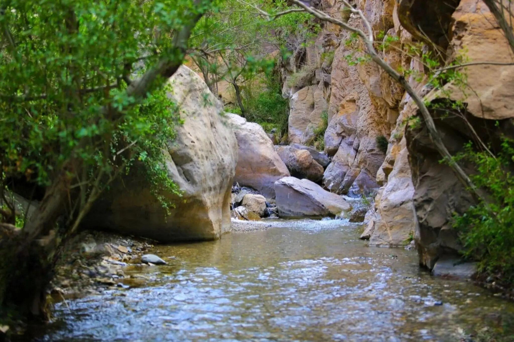 گردشگری ماهان