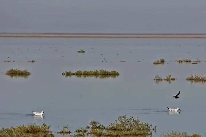 تالاب قزوین