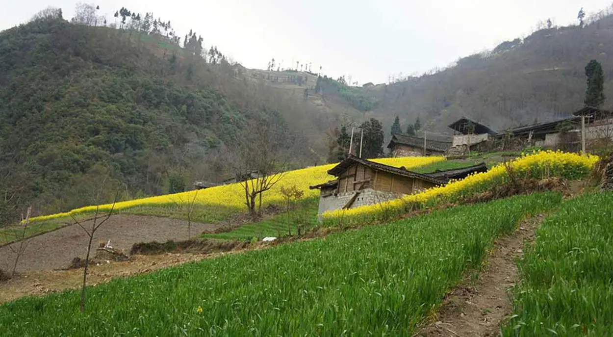 روستای زرگر