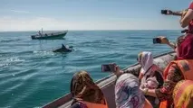 ۲ راه برای خرید اینترنتی بلیت سفرهای دریایی