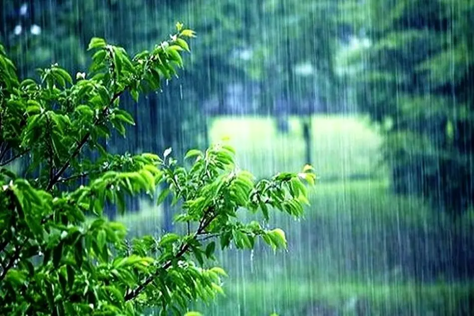 بشنوید | بارش باران در ۹ استان کشور