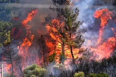 ۱۲ سورتی پرواز بالگرد در الیت چالوس/عملیات مهار آتش‌ سوزی همچنان ادامه دارد 