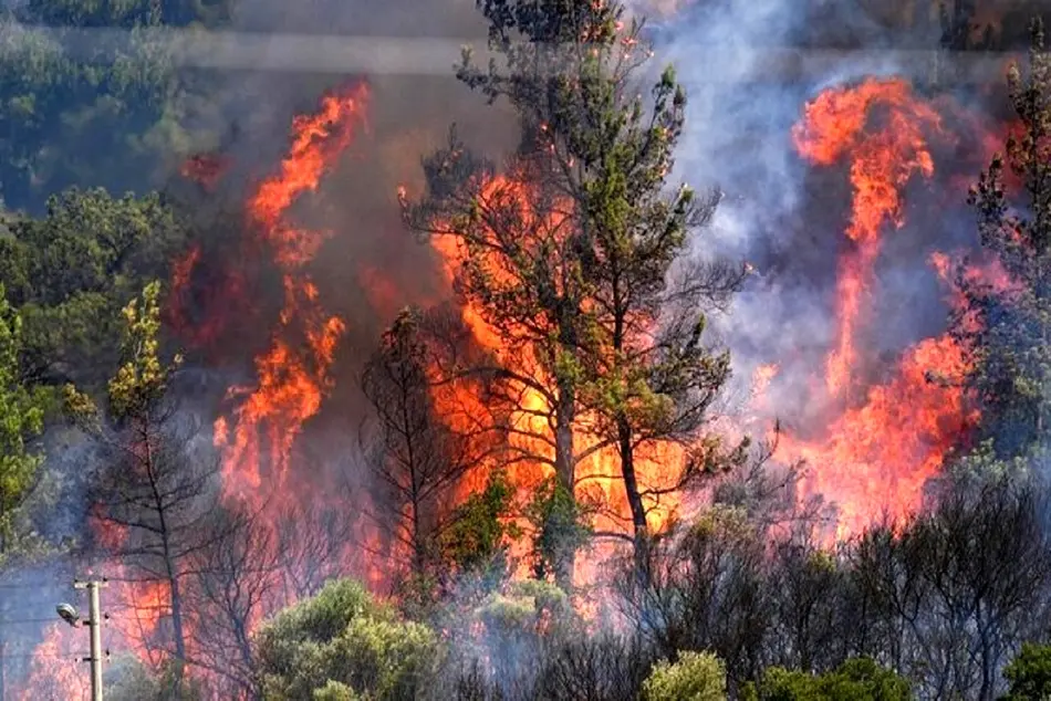۱۲ سورتی پرواز بالگرد در الیت چالوس/عملیات مهار آتش‌ سوزی همچنان ادامه دارد 