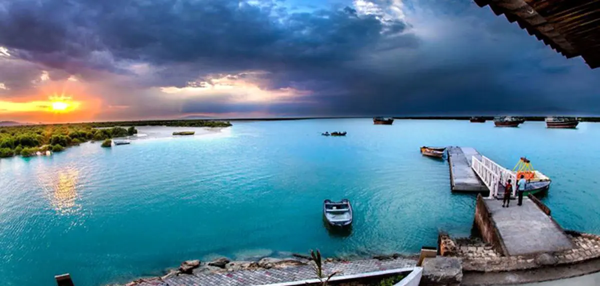 جنگل دریایی حرا در میان آب های خلیج فارس + عکس