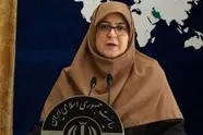 انتقاد سخنگوی دولت از قیمت پایین سوخت هواپیما

