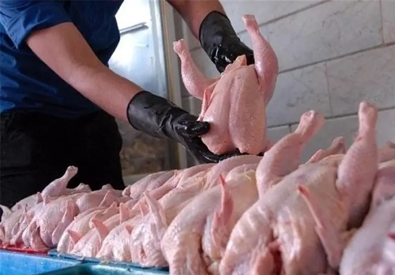 فروش ‌مرغ با قیمت بیش از ۱۲۹۰۰ تومان تخلف است‌