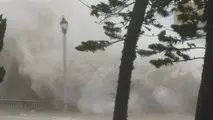 UAE Airlines Cancel Flights to Typhoon-Hit Cities