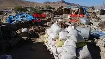 اختصاص ۶۵۹میلیارد تسهیلات و ۲۸۱ میلیارد کمک بلاعوض به زلزله زدگان