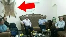 توضیح اداره محیط زیست مازندران: گوزن نبود، بز کوهی بود!

