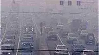  استان تهران ظرفیت زیستی این مقدار آلایندگی را ندارد 