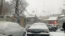فیلم | برف بزرگراه یادگار امام را بست