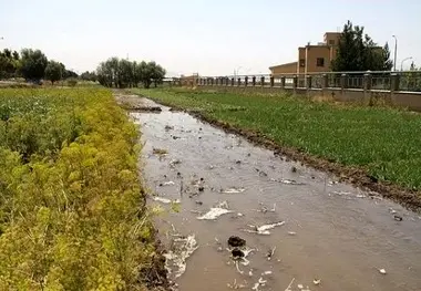 آلودگی‌های شیمیایی خاک در جنوب تهران در کمین شهروندان