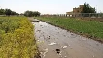 آلودگی‌های شیمیایی خاک در جنوب تهران در کمین شهروندان