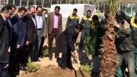 اجرای پروژه محوطه‎سازی فرودگاه مشهد بدون قطع حتی یک درخت 