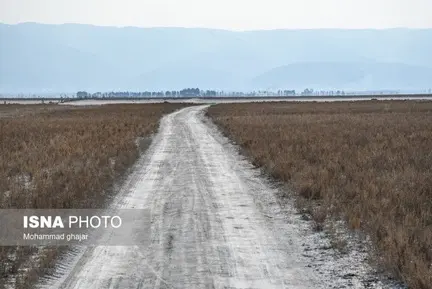 میانکاله 