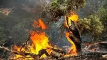 آتش سوزی اتوبوس روی پل ۶ اکتبر قاهره؛ هشدار دوباره درباره ایمنی ناوگان حمل ونقل عمومی