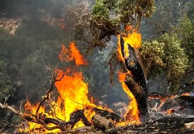آتش سوزی اتوبوس روی پل ۶ اکتبر قاهره؛ هشدار دوباره درباره ایمنی ناوگان حمل ونقل عمومی