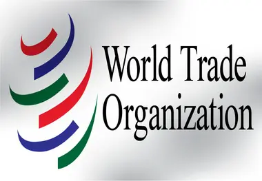 مقاله/ برسی لایحه قانونی امور گمرکی از دیدگاه مقرارات سازمان جهانی تجارت WTO