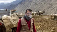جدال مرگ و زندگی برای حمل کالا در کوهستان 