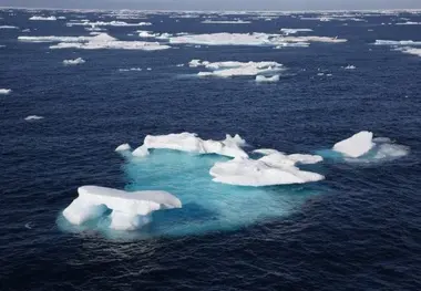 Climate Change Hitting Top U.S. Fishery in the Arctic, NOAA Report Says