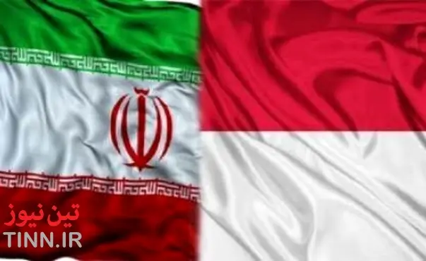 پرتامینا: ایران منبع جدید تامین گاز مایع اندونزی شد