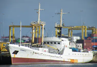 Shipowners propose solutions to rising demurrage