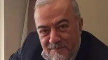 کاربری پل خلیج فارس فقط ریلی باشد/ قشم را دچار مشکلات زیست محیطی نکنیم