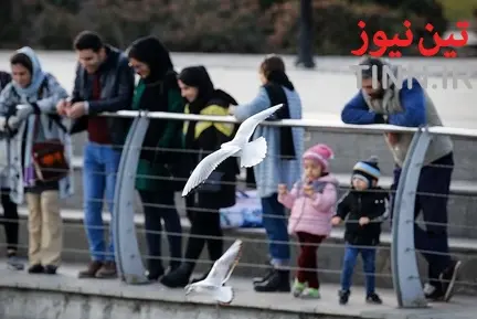 تهران؛ میزبان «پرندگان سیبری»