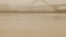 بازدید متخصصان بین‌المللی از چهار سایت مقابله با گرد و غبار ایران
