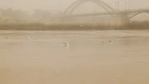 بازدید متخصصان بین‌المللی از چهار سایت مقابله با گرد و غبار ایران