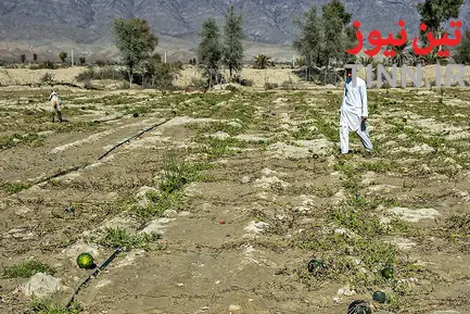 خسارات سیل به عشایر بورک شهرستان نیکشهر