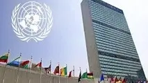 سازمان‌ملل بر احترام به ایمنی حمل‌ونقل هوایی تاکیدکرد