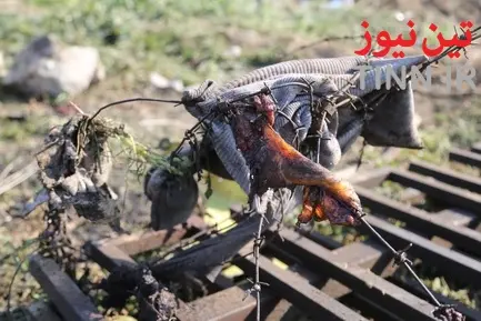 سقوط هواپیمای بوئینگ اوکراینی در جنوب تهران-1