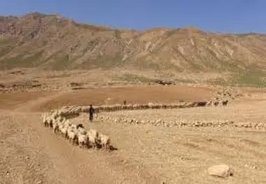 تعرض و انسداد ایلراههای عشایری استان تهران ممنوع است