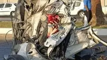 هیس! جاده ها مشغول کُشت و کشتارند!
