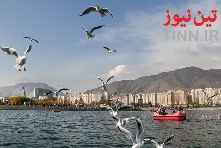 تهران؛ میزبان «پرندگان سیبری»