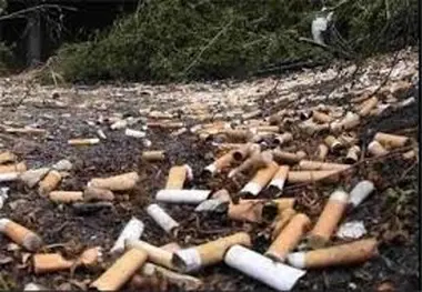 ته سیگار را دست کم نگیرید/ ابتکار یک اصفهانی برای حفظ محیط زیست 