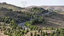 ۶۰ درصد اراضی حریم کمربند سبز در بیرجند خصوصی است