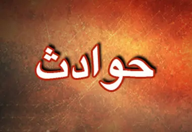 چهار کشته در سانحه سقوط یک هواپیمای کوچک در گینه
