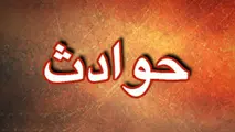 چهار کشته در سانحه سقوط یک هواپیمای کوچک در گینه