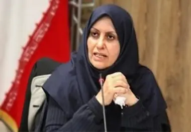  رییس سازمان استاندارد: تولید همه خودروهای قدیمیِ فاقد 85 استاندارد اجباری، متوقف می شود