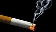 جریمه ۵۰ هزار تومانی برای استعمال هر نخ سیگار در یک مجتمع تجاری تهران/ عکس