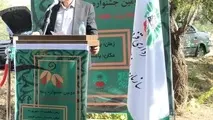 بررسی مشکلات باغستان سنتی از اولویت های شهر قزوین است